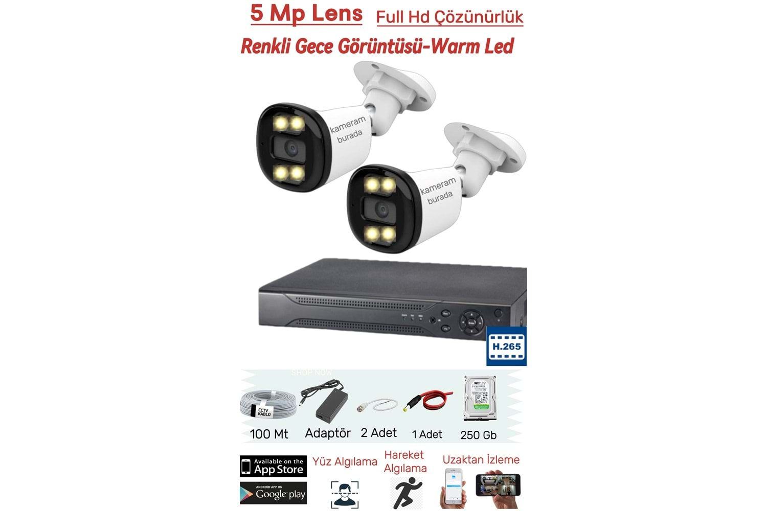 2 Kameralı 5MP Lens Full Hd 2MP Çözünürlük Yüz Tanıma + Renkli Gece Görüşlü Güvenlik Seti