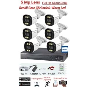 6 Kameralı 5MP Lens Full Hd 2MP Çözünürlük Yüz Tanıma + Renkli Gece Görüşlü Güvenlik Seti